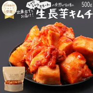 【赤坂食べ門】＼楽天1位／本場 長芋生キムチ 500g『1日数量限定』＜出来立てのキムチだから食感が全然違…