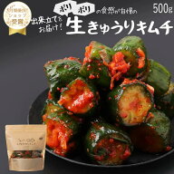 【赤坂食べ門】＼楽天1位／本場 きゅうり生キムチ 500g『1日数量限定』＜出来立てのキムチだから食感が全…
