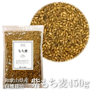    450g  t a̎RY _ w엿  R_@ R͔| Y YG Y100  ނ `M 唞 F{{ IBF N