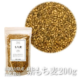    200g  t a̎RY _ w엿  R_@ R͔| Y YG Y100  ނ `M 唞 F{{ IBF N