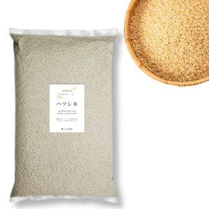  V ncV 4kg R͔| {茧Y _sgp _ w엿sgp ܕsgp т̃t@[  ͂  ܕ _ yꕔnz