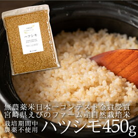 送料無料 玄米 ハツシモ 金賞 450g お試し3合パック 約6食分 自然栽培 宮崎県産 農薬不使用 無農薬 化学肥料不使用 除草剤不使用 えびのファーム 初霜 はつしも あさひ 金賞米 無農薬米【単品配送商品｜宅配便との同梱不可】