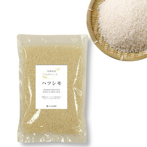   ncV  450g 3pbN 6H R͔| {茧Y _sgp _ w엿sgp ܕsgp т̃t@[  ͂  ܕ _āyPi