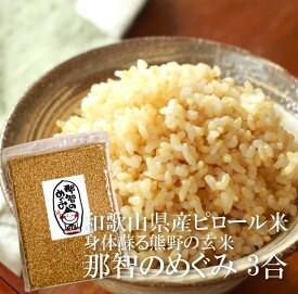 送料無料 玄米 那智のめぐみ 3合 お試し用 約6食分 和歌山県産 減農薬 残留農薬未検出 残留農薬ゼロ 放射能検査済 特別栽培 ピロール農法 弱アルカリ性 pH7.2 低アレルゲン ピロール米 身体蘇る熊野の玄米 ポイント消化 【単品配送商品｜宅配便との同梱不可】