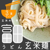 送料無料 富田うどんの玄米麺 3食入（1食100g）玄米めん 米粉麺 米粉めん ライスヌードル グルテンフリー…