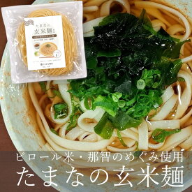 送料無料 玄米麺 たまなの玄米麺 ライスヌードル グルテンフリーヌードル 代用麺 米粉麺 ノングルテン アレルギーフリー 小麦粉不使用 ピロール米 那智のめぐみ 国産玄米 国産馬鈴薯でんぷん使用