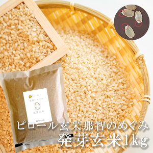 発芽玄米 那智のめぐみ 1kg 和歌山県産 残留農薬未検出 ピロール玄米使用 国産 発芽米 胚芽米 無洗米 ピロール農法 弱アルカリ性 低アレルゲン GABA ギャバ ビタミン ミネラル 食物繊維