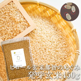 送料無料 発芽玄米 那智のめぐみ 450g 3合 和歌山県産 残留農薬未検出 ピロール玄米使用 国産 発芽米 胚芽米 無洗米 ピロール農法 弱アルカリ性 低アレルゲン GABA ギャバ ビタミン ミネラル 食物繊維