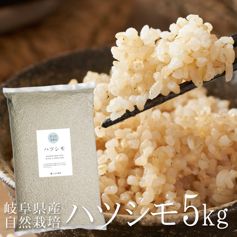 楽天市場】玄米 ハツシモ 初霜 5kg 自然栽培米 令和4年産 岐阜県産