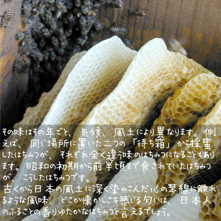 楽天市場】はちみつ ニホンミツバチのはちみつ 150g 日本みつばちの蜜 