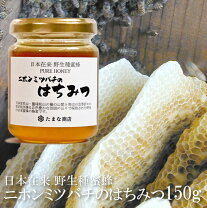 楽天市場】ニホンミツバチの通販