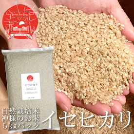 玄米 イセヒカリ 5kg いせひかり 自然栽培米 令和5年産 新米 和歌山県産 農薬不使用 無農薬 無施肥 除草剤不使用 自然栽培 紀州産 くま野良 神様のお米 伊勢光 伊勢神宮 御神米 一部地域を除き送料無料