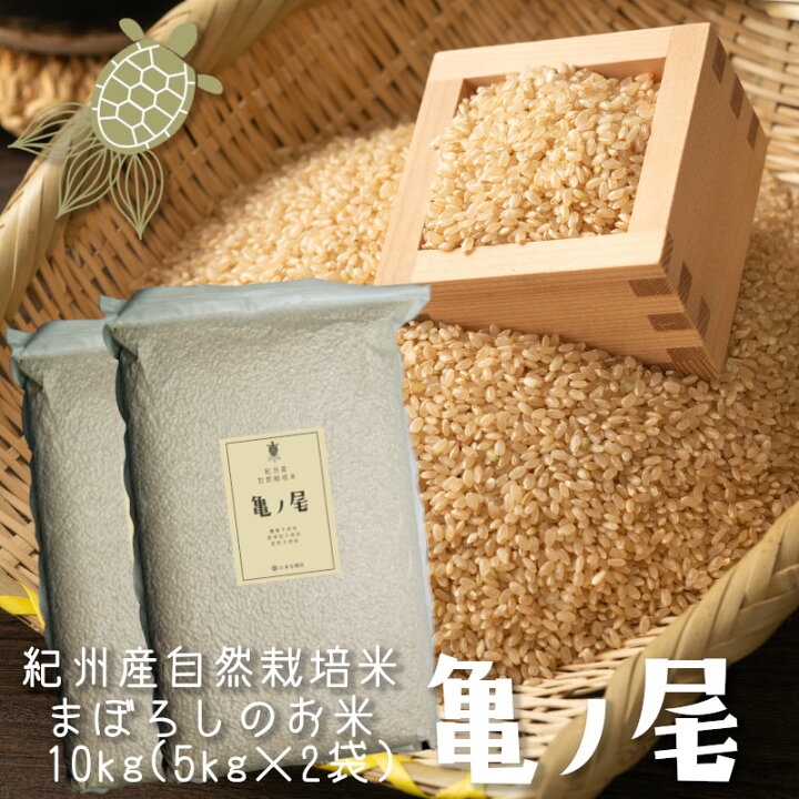 楽天市場】玄米 亀ノ尾 10kg （5kg×2袋） 亀の尾 自然栽培米 和歌山県 
