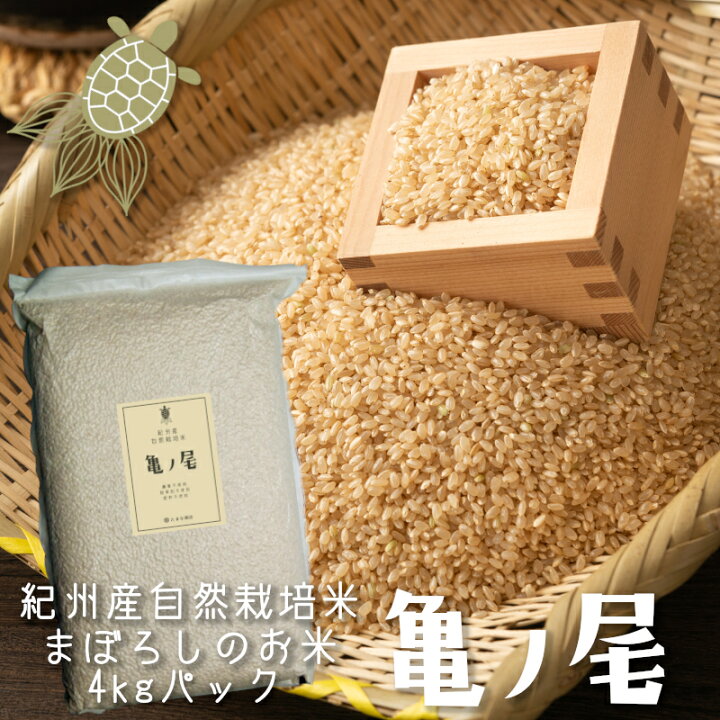 楽天市場】玄米 令和7年産 亀ノ尾 4kg 亀の尾 自然栽培米 和歌山県産 