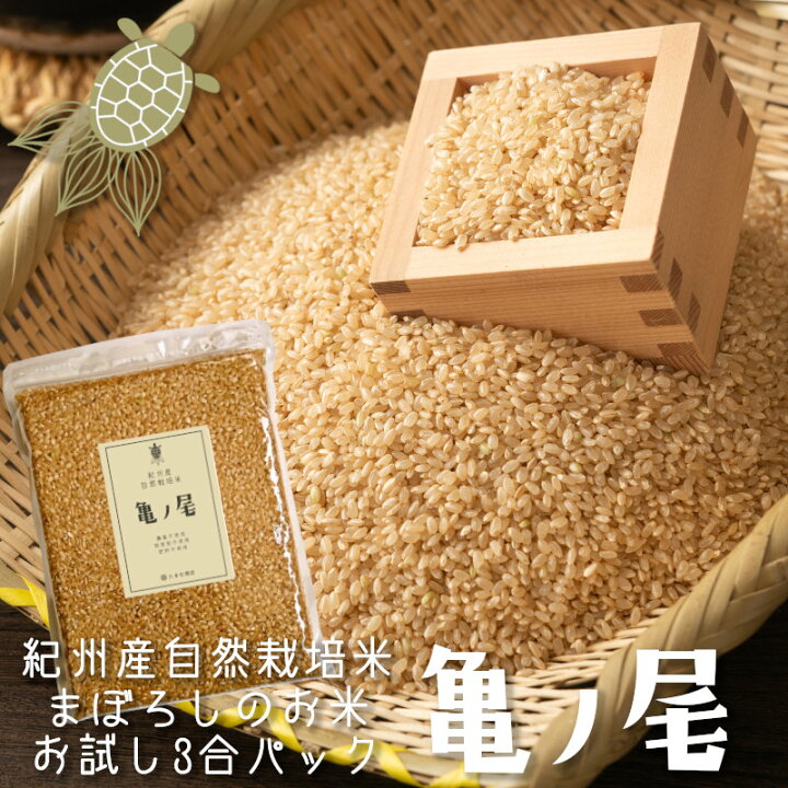 楽天市場】送料無料 玄米 新米 亀ノ尾 3合 お試し用 約6食分 亀の尾  