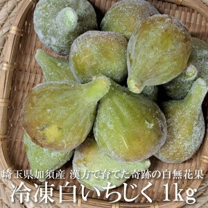 Yn yⓀz  1kg i12`16j ʌY { ԉ C`WN oi[l ͔|Ԓ_sgp w엿sgp R͔| _@ _ Yt[c t[c f