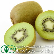 キウイフルーツ オーガニック 3kg サイズS〜L混合 有機JAS 和歌山県産 国産 有田 有機栽培 無農薬 無除草…
