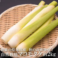 産地直送品 マコモタケ 2kg（約20本）大小混合16〜22本 和歌山県産 熊野本宮 無農薬 無除草剤 無化学肥料…