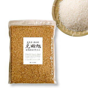  ꍆ 3 p 6H c R͔|10Nȏ F{Y _sgp _ { ܕsgp R͔| c_ 1    AQ ̌ yPiz