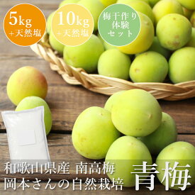 青梅 （梅干セット） 和歌山県産 南高梅 岡本さんの青梅 自然栽培 栽培期間中農薬不使用 紀州産 田辺 上芳養 岡本農園 自然農法 無施肥 サイズ混合 自家製梅干用 梅酒用 梅シロップ用 産地直送 お取り寄せ 数量限定 【一部地域を除き送料無料】【単品配送商品｜同梱不可】