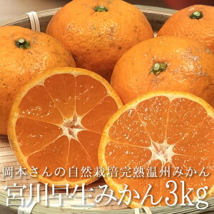 産地直送 自然栽培 温州みかん 宮川早生 3kg サイズ混合 岡本農園 和歌山県産 樹上熟成 木熟 無農薬 無除草剤 無化学肥料 自然栽培 紀州産 田辺 ミカン オレンジ フルーツ 果物 お取り寄せ 歳