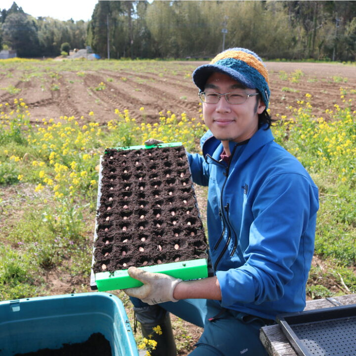 生落花生 おおまさり 1kg 千葉県産 国産 茹で落花生用 ジャンボ落花生 令和5年 新豆 自然栽培 無農薬 無化学肥料 あんばい農園 なま落花生 生ピーナッツ ピーナツ 農薬不使用 化学肥料不使用 産地直送 お取り寄せ 【一部地域を除き送料無料】【単品配送商品|同 ... 新物 採れたて なま落花生 1kg
