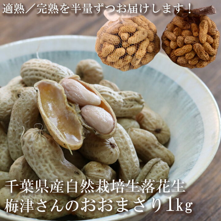 楽天市場 生落花生 おおまさり 1kg 千葉県産 国産 茹で落花生用 ジャンボ落花生 令和4年 新豆 自然栽培 無農薬 無化学肥料 あんばい農園 なま 落花生 生ピーナッツ ピーナツ 農薬不使用 化学肥料不使用 産地直送 お取り寄せ 一部地域を除き送料無料 単品配送商品 同