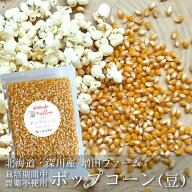 送料無料 ポップコーン豆 （バタフライタイプ）北海道産 イエローコーン 国産 増田ファーム トウモロコシ…