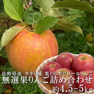 쌧Y ytƂ炸z I lߍ킹 4.5`5kg TCY 삳̂s[ s[_@ ܕsgp w엿sgp MB z{ Jlg S ь 