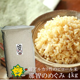 那智のめぐみ 令和7年産 玄米 白米 4kg 和歌山県産 ピロール米 残留農薬ゼロ 残留農薬未検出 減農薬 放射能検査済 特別栽培 ピロール農法 弱アルカリ性 pH7.2 低アレルゲン ピロール米 身体蘇る熊野の玄米 一部地域を除き送料無料