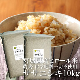 ササニシキ 玄米 10kg（5kg×2） 宮城県産 ピロール米 無農薬 無除草剤 無化学肥料 自然栽培 ピロール農法 弱アルカリ性 pH7.1 低アレルゲン 高アミロース 石巻 うるち米 希少品種 幻のお米 一部地域を除き送料無料