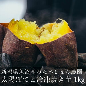 Yn ⓀĂ zۂĂ 1.6kgi8ܓj܂ g͂邩  킽ׂ_ n̂܂ VY Y Ygp ͔|Ԓ_sgp _ R͔| 