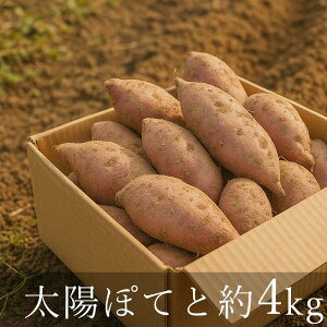 Yn L@JAS zۂĂ ܂ g͂邩  킽ׂ_ n̂܂ VY Y L@͔| I[KjbN ͔|Ԓ_sgp _ { 엿 R