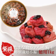 しそ梅干し 訳あり つぶれ梅 紀州小梅 たまな食堂のしそ梅干 徳用 1kg 無添加 特別栽培 和歌山県産 紀州…