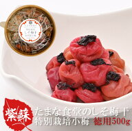 しそ梅干し 訳あり つぶれ梅 紀州小梅 たまな食堂のしそ梅干 徳用 500g 無添加 特別栽培 和歌山県産 紀州…