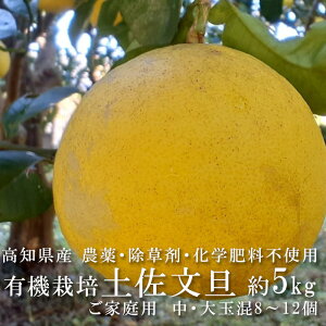 ���m���Y �y�����U �L�@JAS ��5kg�i��8�`12�ʁj�T�C�Y���� �R����̃I�[�K�j�b�N���U ���R�͔| �͔|���Ԓ��_��s�g�p �����ܕs�g�p ���w�엿�s�g�p �R�_�� �y�����Y�� ���Y�݂��� �Ԃ�