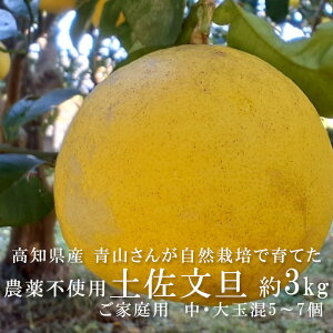 ���m���Y �y�����U �_��s�g�p ��3kg�i��5�`7�ʁj�T�C�Y���� �R����̎��R�͔|���U �͔|���Ԓ��_��s�g�p �����ܕs�g�p ���w�엿�s�g�p �R�_�� �y�����Y�� ���Y�݂��� �Ԃ񂽂� �U�{�� 