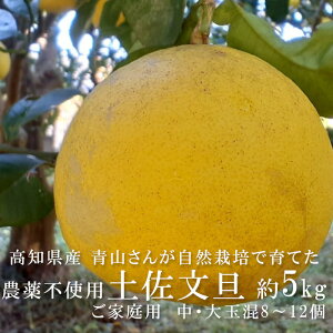 ���m���Y �y�����U �_��s�g�p ��5kg�i��8�`12�ʁj�T�C�Y���� �R����̎��R�͔|���U �͔|���Ԓ��_��s�g�p �����ܕs�g�p ���w�엿�s�g�p �R�_�� �y�����Y�� ���Y�݂��� �Ԃ񂽂� �U�{�� 