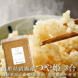 送料無料 つや姫 玄米 お試し用 3合（450g）約6食分 山形県産 栽培期間中農薬不使用 除草剤不使用 化学肥料不使用 置賜産 ダッドロード DADROAD 国産 米 お米 コメ オーガニック米 美味しいお米 ポイント消化 【単品配送商品｜宅配便との同梱不可】