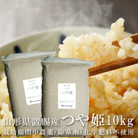 つや姫 玄米 10kg（5kg×2袋）山形県産 栽培期間中農薬不使用 除草剤不使用 化学肥料不使用 置賜産 ダッドロード DADROAD 国産 米 お米 コメ オーガニック米 美味しいお米 一部地域を除き送料無料