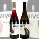 自然派ワイン 赤・白 2本セットフォリアス・デ・バコ FOLIAS DE BACO ウィヴォ・レネガード UIVO REGADO 2020年 750ml…