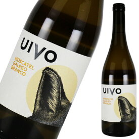 自然派ワイン 白ワイン フォリアス・デ・バコ FOLIAS DE BACO モスカテル・ガレゴ ブランコ UIVO MOSCATEL GALRGO BLANCO 2019年 750ml 【品種 モスカテル】 ミディアムボディ ポルトガル ドウロ ナチュラルワイン ビオワイン オーガニックワイン 有機ワイン ビオロジック