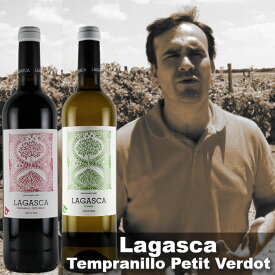 自然派ワイン 赤白セット 750ml×2本 ラガスカ LAGASCA テンプラニーリョ プティヴェルド TEMPRANILLO-PETIT VERDOT 2020年 ヴィオニエ VIOGNIER 2019年 スペイン ラ・マンチャ ナチュラルワイン ビオワイン オーガニックワイン 有機ワイン ビオディナミ