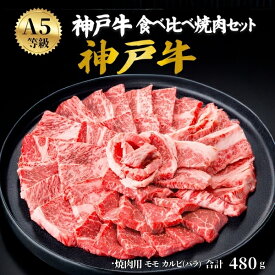 お歳暮 冬ギフト ギフト A5 ランク 神戸牛 6種 食べ比べセット 480g ブランド牛 3〜4人前 焼肉 特上カルビ 焼き肉 国産 黒毛和牛 和牛 牛肉 焼肉用 バーベキュー 高級焼肉セット 贈答用 熨斗 お肉 内祝い 8000円 お礼 お祝い プレゼント 肉 残暑見舞い