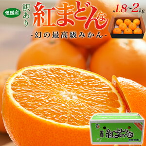 Ε ~Mtg Mtg 󂠂 g܂ǂ Q 1.8`2kg L`5LTCY (5`10) ƒp ݂ QY Yn 2L ݂ ~J g}hi ׂɂ܂ǂ x Y ʕ t[c 