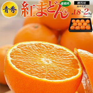 Ε ~Mtg Mtg g}hi Q  Gi g܂ǂ 1.8`2kg MTCY 10`12 ݂ Q QY Yn 2L ݂ ~J ׂɂ܂ǂ Y ʕ t[c Yi 