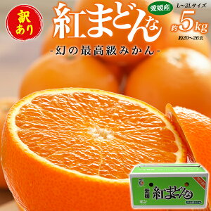 Ε ~Mtg Mtg 󂠂 g܂ǂ 5kg (36) e ݂ QY Yn 5L ݂ ~J g}hi ׂɂ܂ǂ Y Q ʕ t[c Yi Yi lߍ