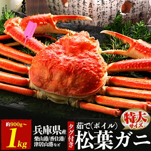 ���Ε� �~�M�t�g �M�t�g ��� 1�� ���Ɍ��Y ���t�K�j �p �Y���C�K�j 900g �` 1kg 1�t �Y�n �u�����h �^�O�t �{�C�� �J�j�i�ĎR���� / �Ë��R���� / ���Z���� / �l�₩�Ɂj���t�I �܂΃K�j 1�C �M