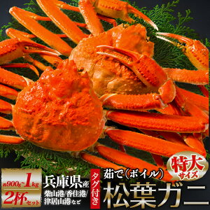 y×2zɌY tKj p (YCKj)y900g`1kg×2tzYn uh^Ot {C JjiĎR / ËR / Z / l₩ jtI ܂΃Kj 2C Mtg {C Yn