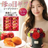 母の日 まだ間に合う ギフト 花 カーネーション 2026 お菓子 スイーツ ギフトセット 中島大祥堂 ソープフ…
